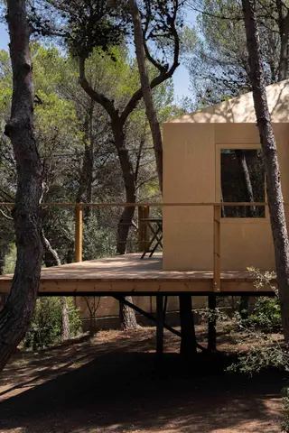 Casita en el árbol — Calma Villa